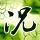 一比一原版长崎国际大学文凭【degxx.com】